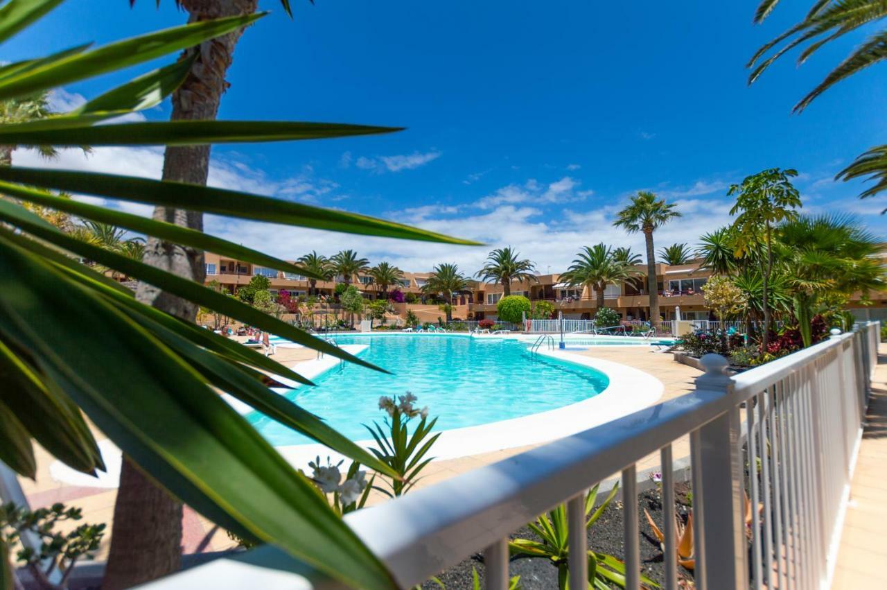 Alicebungalowpoolview-Summer Corralejo Exterior photo