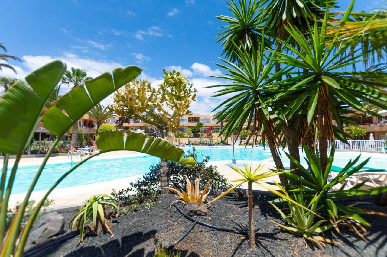 Alicebungalowpoolview-Summer Corralejo Exterior photo
